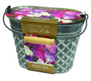 Sweet Pea Decorative Planter With Seeds