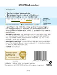 Sweet Pea Everlasting Mix Thompson & Morgan Seed - image 2