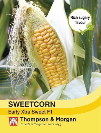Sweetcorn - Early Xtra Sweet F1 - Thompson and Morgan Seed Pack - image 1