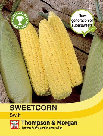 Sweetcorn - Swift - Thompson and Morgan Seed Pack - image 1