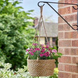 The Weaver Hanging Basket - 8in - image 2