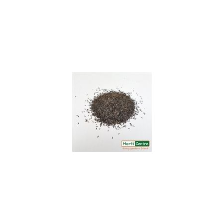 Thistle/Nyger Seed 1 Kg