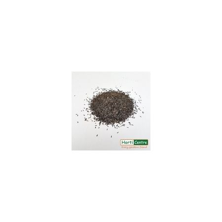 Thistle/Nyger Seed 2 Kg