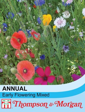 Thompson & Morgan Annual - Early Flowering Mixed Seed Pack - image 2