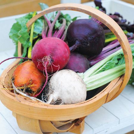 Thompson & Morgan - Beetroot - Rainbow Beet - Seed Pack