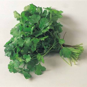 Thompson & Morgan Herbs - Coriander - Seed Pack