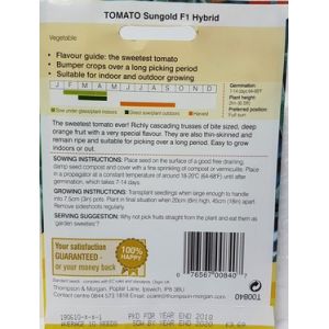 Thompson & Morgan Tomato - Sungold F1 Hybrid - Seed Pack