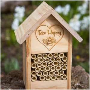 Tom Chambers Bee Happy Bug Box