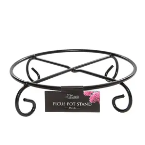 Tom Chambers Ficus Pot Stand - Large