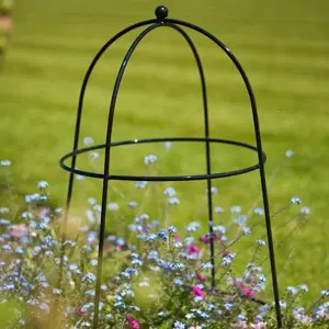 Tom Chambers Flower & Plant Cloche - Small