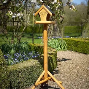 Tom Chambers Honeybee Bird Table