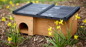 Tom Chambers Prickles Hedgehog House (FSC)