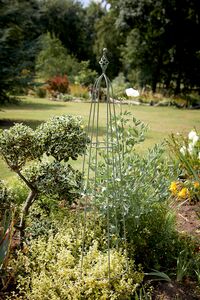 Tom Chambers Priory Obelisk Sage 1.7m