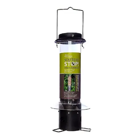 Tom Chambers Squirrel Stop Peanut Feeder