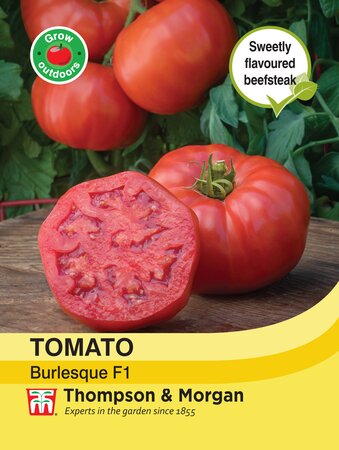 Tomato - Burlesque F1 - Thompson and Morgan Seed Pack - image 1