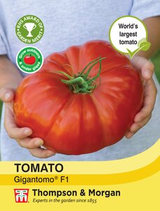 Tomato - Gigantomo F1 - Thompson and Morgan Seed Pack - image 1