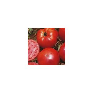 Tomato Marmande Kings Seeds