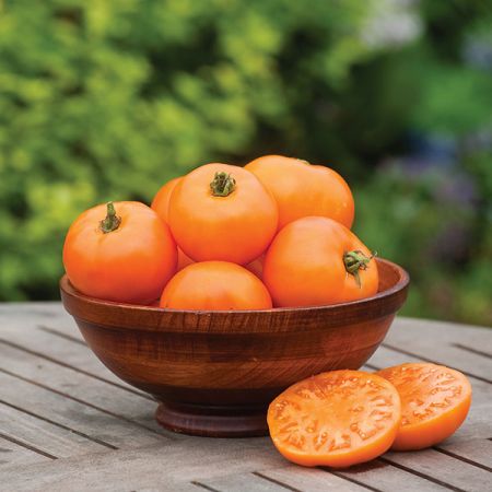 Tomato Orange Wellington F1 Kings Seeds