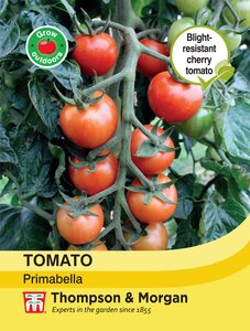 Tomato - Primabella - Thompson and Morgan Seed Pack - image 1