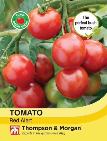 Tomato - Red Alert - Thompson and Morgan Seed Pack - image 1