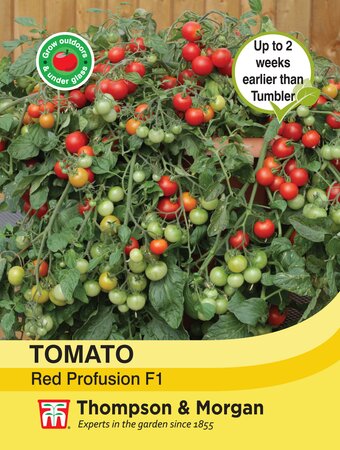 Tomato -Red Profusion F1 - Thompson and Morgan Seed Pack - image 1