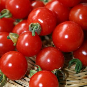 Tomato Sweet Aperitif Kings Seeds