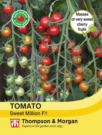 Tomato - Sweet Million F1 - Thompson and Morgan Seed Pack - image 1