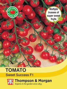 Tomato - Sweet Success F1 - Thompson and Morgan Seed Pack - image 2