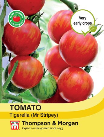 Tomato Tigerella (Mr Stripey) Thompson & Morgan Seed - image 1