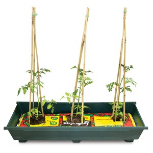 Town & Country Grow Bag & Utlity Tray - image 2