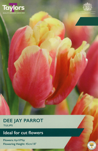 Tulip - Dee Jay Parrot - 5 Bulb Pack