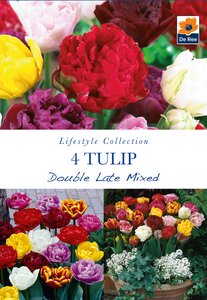 Tulip - Double Late Mixed - 4 Pack