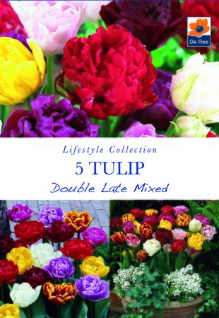 Tulip - Double Late Mixed - 5 Pack