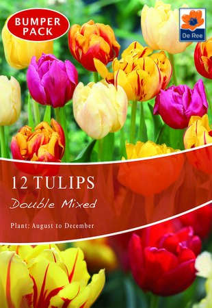 Tulip - Double Mixed - 12 Bulb Pack