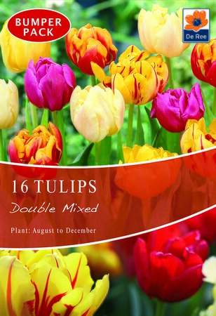 Tulip - Double Mixed - 16 Bulb Pack