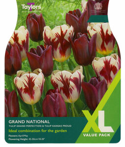 Tulip Mix - Grand National - 15 Bulb XL Pack