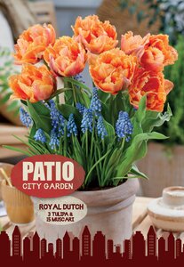 Tulip & Muscari - Royal Dutch Mix - 18 Bulb Pack