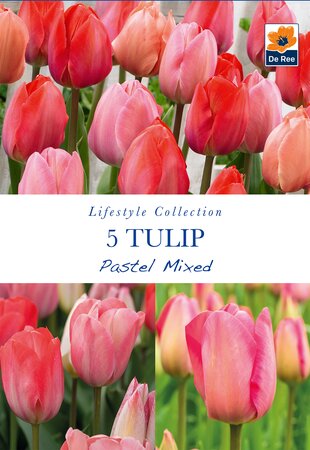 Tulip - Pastel Mixed - 5 Pack
