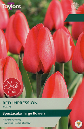 Tulip - Red Impression - 7 Bulb Pack