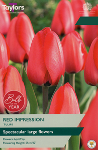 Tulip - Red Impression - 7 Bulb Pack
