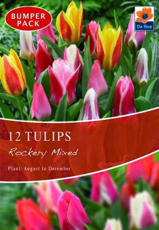 Tulip - Rockery Mixed - 12 Bulb Pack