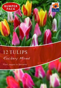 Tulip - Rockery Mixed - 12 Bulb Pack