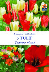 Tulip - Rockery Mixed - 5 Pack