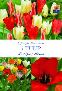 Tulip - Rockery Mixed - 7 Pack