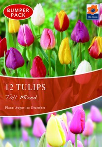 Tulip - Tall Mixed - 12 Bulb Pack