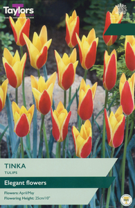 Tulip - Tinka - 15 Bulb Pack