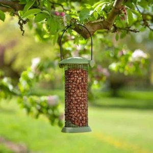 Twist Top Peanut Feeder 30cm