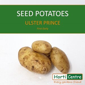 Ulster Prince Scottish Seed Potatoes 1.5Kg