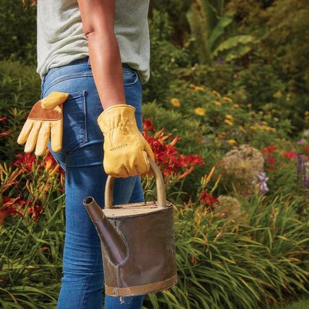 Ultimate Golden Leather Medium - image 2