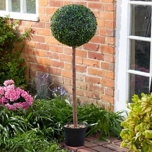 Uno Topiary Tree 120cm - image 2
